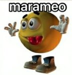 Marameo